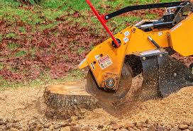 Best Aeration Services  in Karnes City, TX