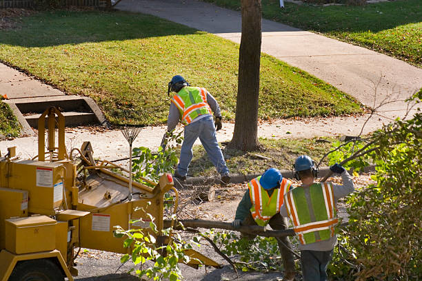 Best Tree Mulching  in Karnes City, TX